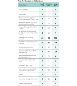 Workplace First Aid Kit 25