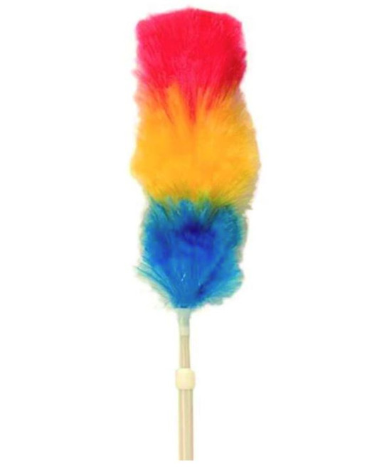 Feather Duster