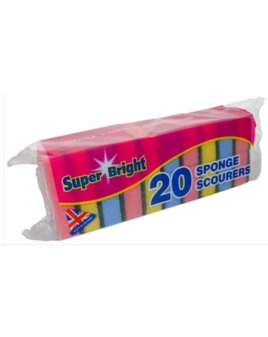 Sponge Scourers Pk20